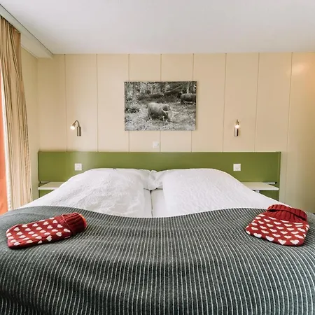 Les Amis Hotell Saas Fee