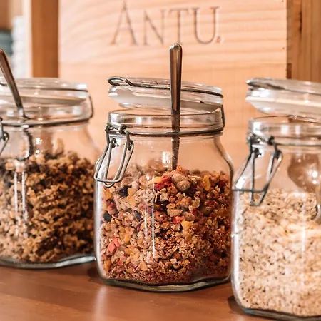 Hotell Les Amis Saas Fee